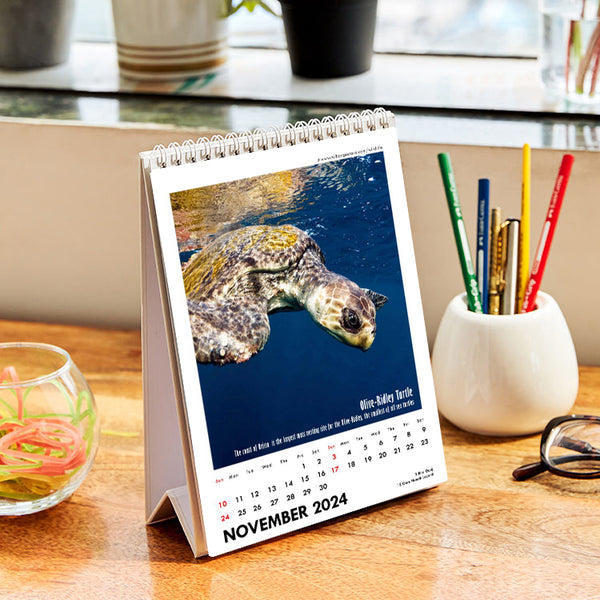 Desk Calendar 2024 Wildlife, Incredible Animals of India by Tallenge