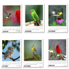 Desk Calendar 2025 - Winged Beauties, Birds