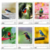 Desk Calendar 2025 - Winged Beauties, Birds