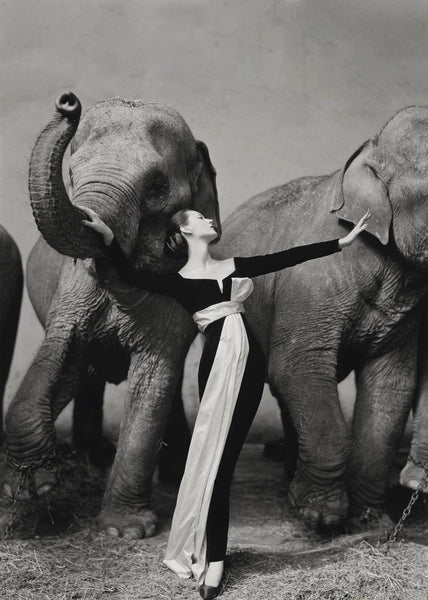 Dovima With Elephants - Life Size Posters