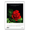 2025 Desk Calendar - Blossoms - Floral Pictures