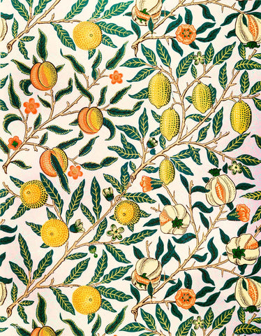 Pomegranate - William Morris Fruit Pattern Art - Art Prints