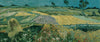 The Plain of Auvers (Wheat Fields Near Auvers) - Vincent van Gogh Impressionist Painting - Large Art Prints