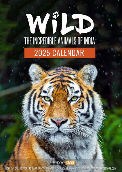 Wall Calendar 2025 - Wildlife, Incredible Animals of India