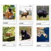 Desk Calendar 2025 - Wildlife, Incredible Animals of India