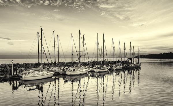 Sailboats At Crack Of Dawn - Large Art Prints