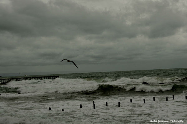 Anticipation Of Storm - Posters