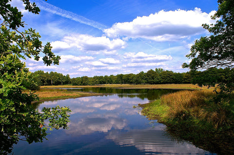 Little Lake - Canvas Prints