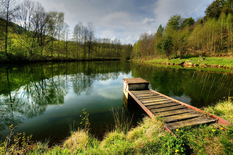 Spring On A Pond by Petr Germani?