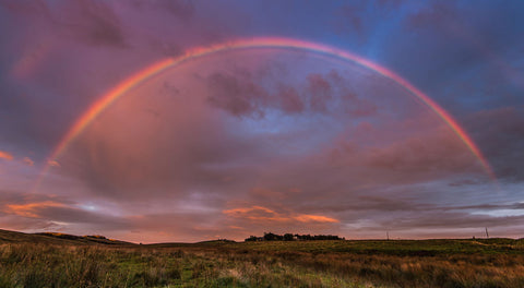 Somewhere Over The Rainbow - Life Size Posters