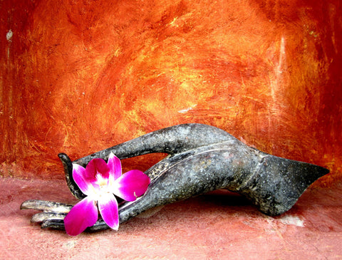 Lotus Hand Position With Flower - Canvas Prints by Sina Irani