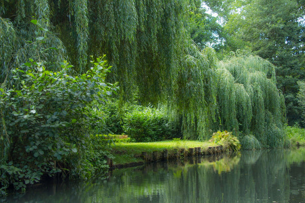 Spreewald - Posters