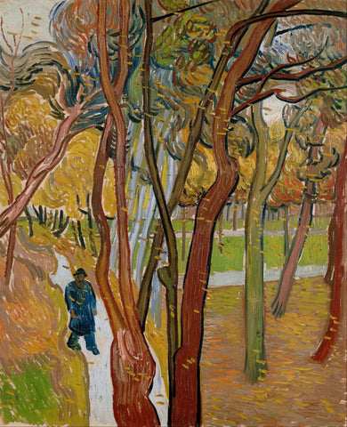 The Garden of Saint Pauls Hospital - the Fall of the Leaves - Framed Prints by Vincent Van Gogh