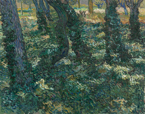 Undergrowth - Framed Prints by Vincent Van Gogh