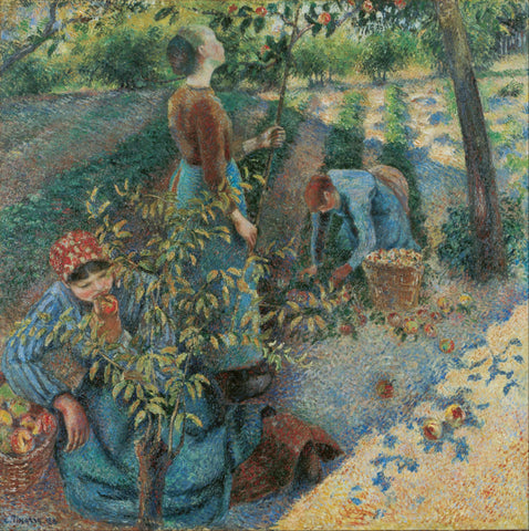 Apple Picking - Large Art Prints by Camille Pissarro