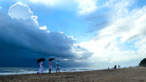 Beach Walk - Large Art Prints