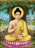 Buddha under the bodhi tree - Art Prints
