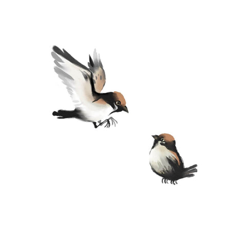 Twin Birds Stock Illustrations – 125 Twin Birds Stock Illustrations,  Vectors & Clipart - Dreamstime