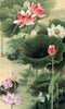 Chinese Gongbi Painting - Nine Lotus - Life Size Posters