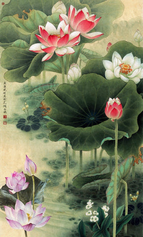 Chinese Gongbi Painting - Nine Lotus - Framed Prints