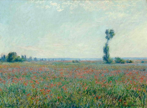 The Poppy Field near Argenteuil (Le champ de coquelicots près d'Argenteuil), 1873 – Claude Monet Painting – Impressionist Art”. - Framed Prints