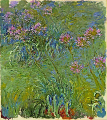 Agapanthus Flower - Framed Prints by Claude Monet