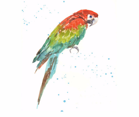 A Colorful Parrot Drawing On A White Background, Featuring Ambient  Occlusion Style, Detailed Atmospheric Portraits, And Large Canvas Format.  This Detailed Ink Illustration Showcases Photo-realistic Techniques, Trace  Monotone, And Close-up Shots Of