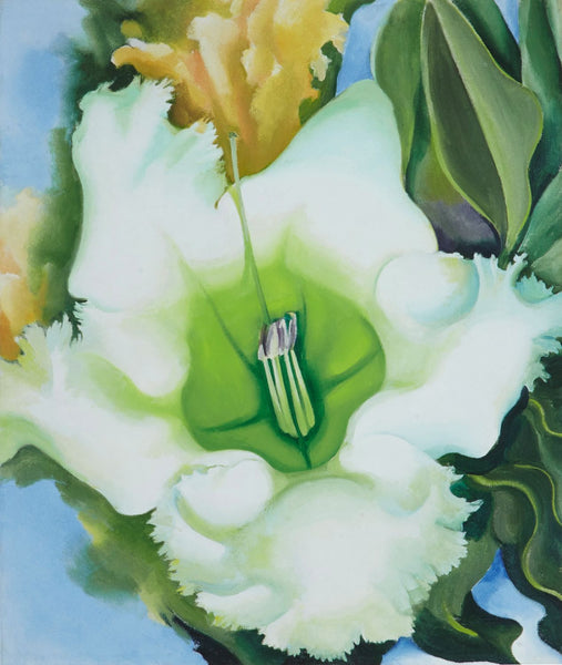 Cup of Silver Ginger by Georgia O'Keeffe | Buy Posters, Frames, Canvas ...