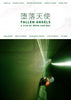 Fallen Angels - Wong Kar Wai - Korean Movie - Arty Poster - Canvas Prints