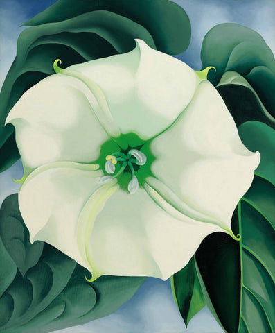 Jimson Weed, White Flower No 1 - Canvas Prints by Georgia OKeeffe