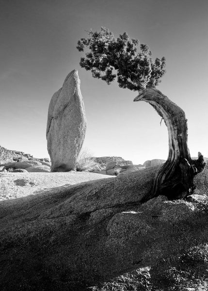 Landscape - Ansel Adams - American Landscape Photograph - Art Prints