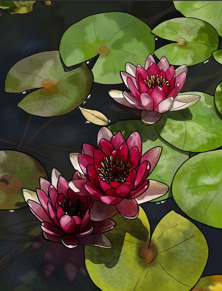 Lotus Blooms - Large Art Prints