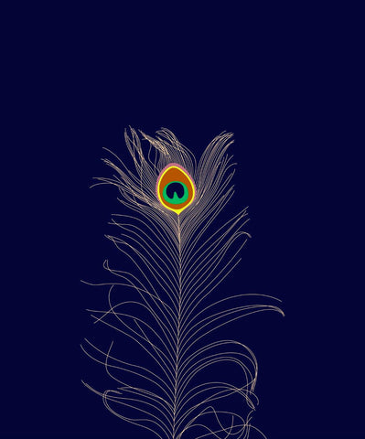 Minimalist Art - Peacock Feather - Canvas Prints