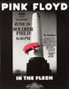 Pink Floyd - In The Flesh Tour 1977 - Vintage Concert Poster - Rock Memorabilia Music Poster - Framed Prints