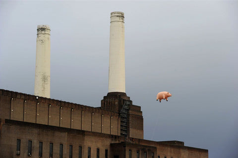 Pink Floyd - Flying Pig Algie - Framed Prints