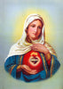 Sacred Heart of Virgin Mary (Coeur Immacule - Marie) - Christian Art Religious Painting - Framed Prints