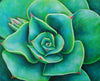 Succulence - Art Prints