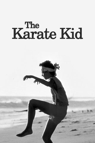 The Karate Kid - Ralph Macchio - Hollywood Martial Arts Movie Poster - Posters