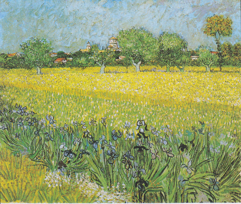 View of Arles with Irises - Life Size Posters by Vincent Van Gogh