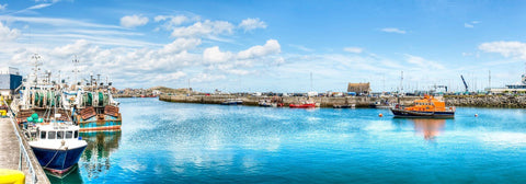 Harbor Panorama - Art Prints