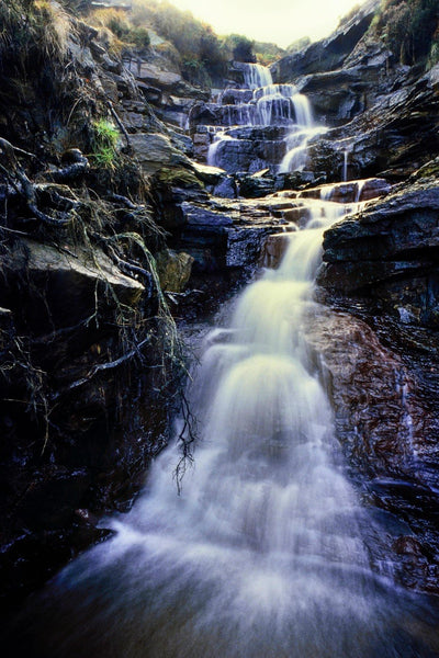 Bronte Waterfall - Canvas Prints